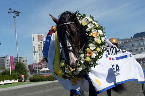 Lome Brage efter segern i Elitkampen på Solvalla. Foto av Lars Jakobsson, TR Bild